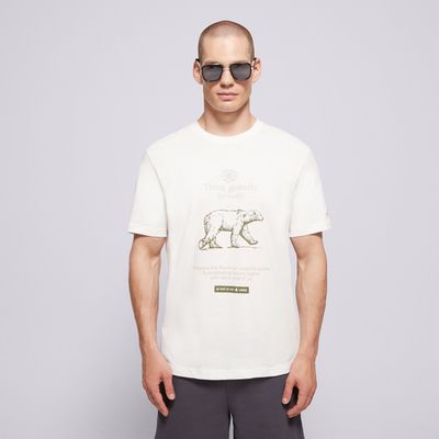 T-shirt męski w stylu młodzieżowym Champion ze sklepu: 50style.pl w kategorii: T-shirty męskie - zdjęcie 110026D-FE4-6238_220757 WW048
