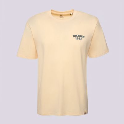 T-shirt męski Dickies ze sklepu: 50style.pl w kategorii: T-shirty męskie - zdjęcie 110026D-FE4-6238_DK0A4Z96K531