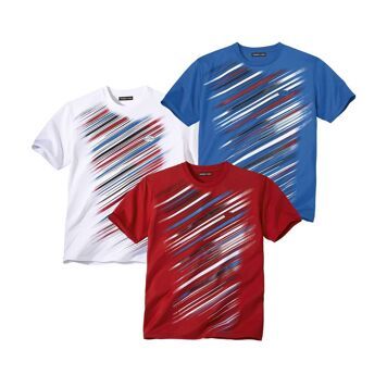 T-shirt męski wiosenny Atlas For Men ze sklepu: Atlas For Men w kategorii: T-shirty męskie - zdjęcie 15A918-39C-13902_15234561