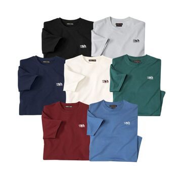T-shirt męski wiosenny Atlas For Men ze sklepu: Atlas For Men w kategorii: T-shirty męskie - zdjęcie 15A918-39C-13902_15324692