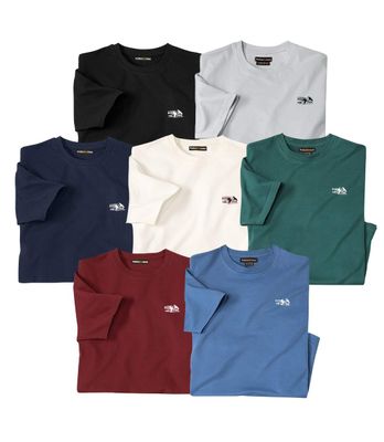 T-shirt męski wiosenny Atlas For Men ze sklepu: Atlas For Men w kategorii: T-shirty męskie - zdjęcie 15A918-39C-13902_15324692