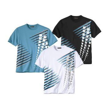 T-shirt męski Atlas For Men ze sklepu: Atlas For Men w kategorii: T-shirty męskie - zdjęcie 15A918-39C-13902_15580610