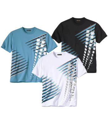 T-shirt męski Atlas For Men ze sklepu: Atlas For Men w kategorii: T-shirty męskie - zdjęcie 15A918-39C-13902_15580610