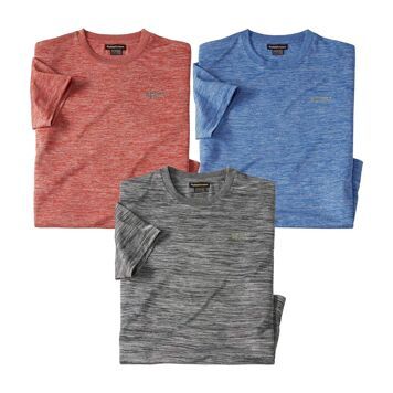 T-shirt męski na wiosnę Atlas For Men ze sklepu: Atlas For Men w kategorii: T-shirty męskie - zdjęcie 15A918-39C-13902_16229726