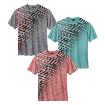 T-shirt męski na wiosnę Atlas For Men ze sklepu: Atlas For Men w kategorii: T-shirty męskie - zdjęcie 15A918-39C-13902_16302202