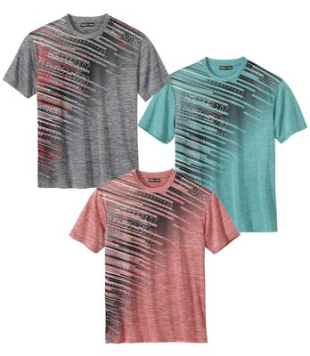 T-shirt męski na wiosnę Atlas For Men ze sklepu: Atlas For Men w kategorii: T-shirty męskie - zdjęcie 15A918-39C-13902_16302202