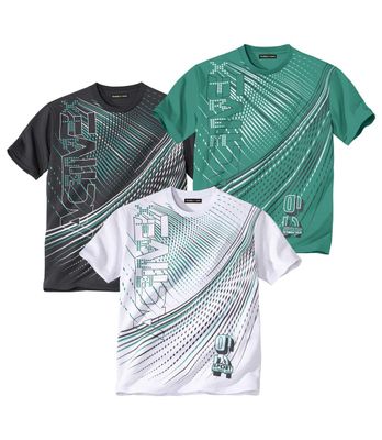 T-shirt męski Atlas For Men ze sklepu: Atlas For Men w kategorii: T-shirty męskie - zdjęcie 15A918-39C-13902_16302219