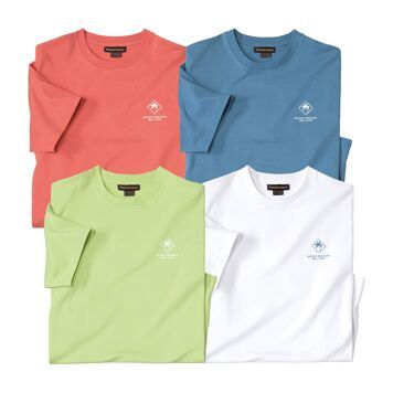 T-shirt męski na wiosnę Atlas For Men ze sklepu: Atlas For Men w kategorii: T-shirty męskie - zdjęcie 15A918-39C-13902_16302500