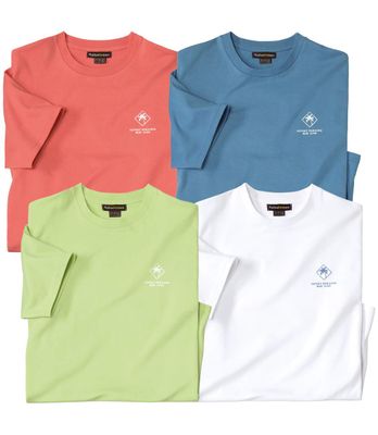 T-shirt męski na wiosnę Atlas For Men ze sklepu: Atlas For Men w kategorii: T-shirty męskie - zdjęcie 15A918-39C-13902_16302500