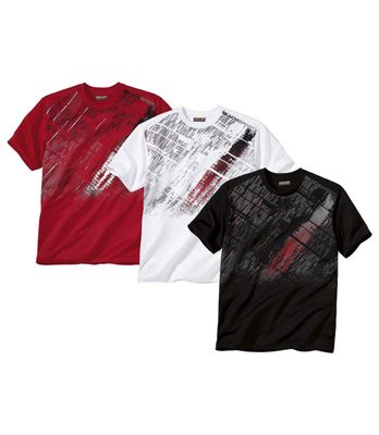 T-shirt męski wiosenny Atlas For Men ze sklepu: Atlas For Men w kategorii: T-shirty męskie - zdjęcie 15A918-39C-13902_16302620