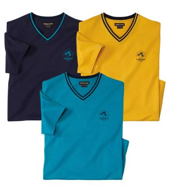 T-shirt męski na wiosnę Atlas For Men ze sklepu: Atlas For Men w kategorii: T-shirty męskie - zdjęcie 15A918-39C-13902_16302775