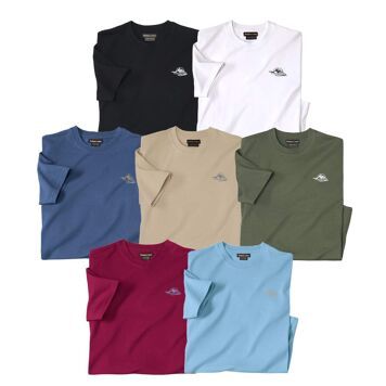 T-shirt męski Atlas For Men ze sklepu: Atlas For Men w kategorii: T-shirty męskie - zdjęcie 15A918-39C-13902_16303165