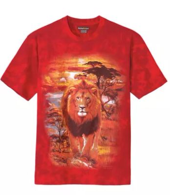 T-shirt męski młodzieżowy Atlas For Men ze sklepu: Atlas For Men w kategorii: T-shirty męskie - zdjęcie 15A918-39C-13902_16311627