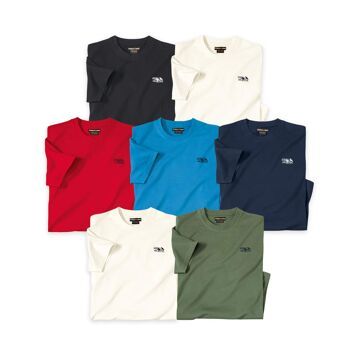 Atlas For Men - T-shirt męski na wiosnę ze sklepu: Atlas For Men w kategorii: T-shirty męskie - zdjęcie 15A918-39C-13902_16551585
