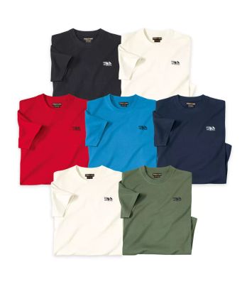 Atlas For Men - T-shirt męski na wiosnę ze sklepu: Atlas For Men w kategorii: T-shirty męskie - zdjęcie 15A918-39C-13902_16551585