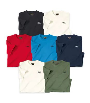 Atlas For Men - T-shirt męski na wiosnę ze sklepu: Atlas For Men w kategorii: T-shirty męskie - zdjęcie 15A918-39C-13902_16551585