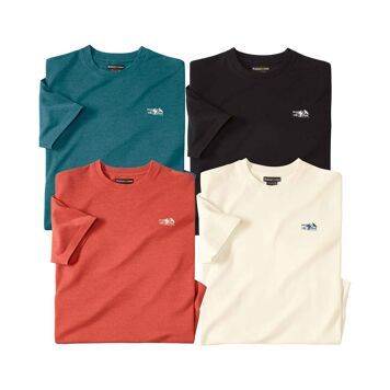 Atlas For Men - T-shirt męski na wiosnę ze sklepu: Atlas For Men w kategorii: T-shirty męskie - zdjęcie 15A918-39C-13902_16725922