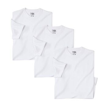 T-shirt męski Atlas For Men ze sklepu: Atlas For Men w kategorii: T-shirty męskie - zdjęcie 15A918-39C-13902_16774118
