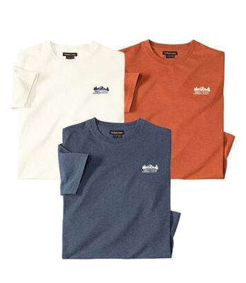 T-shirt męski casualowy Atlas For Men ze sklepu: Atlas For Men w kategorii: T-shirty męskie - zdjęcie 15A918-39C-13902_16915293