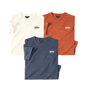 T-shirt męski casualowy Atlas For Men ze sklepu: Atlas For Men w kategorii: T-shirty męskie - zdjęcie 15A918-39C-13902_16915293