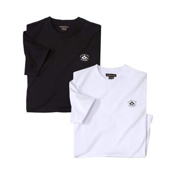 Atlas For Men - T-shirt męski casual wiosenny ze sklepu: Atlas For Men w kategorii: T-shirty męskie - zdjęcie 15A918-39C-13902_16978649
