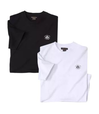 Atlas For Men - T-shirt męski casual wiosenny ze sklepu: Atlas For Men w kategorii: T-shirty męskie - zdjęcie 15A918-39C-13902_16978649