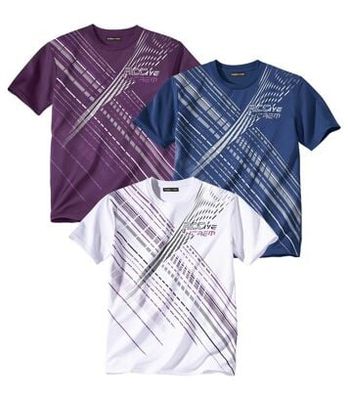 T-shirt męski Atlas For Men ze sklepu: Atlas For Men w kategorii: T-shirty męskie - zdjęcie 15A918-39C-13902_16978659