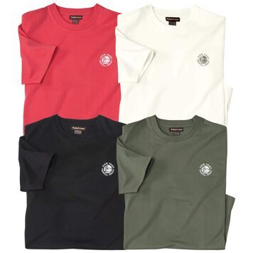 T-shirt męski młodzieżowy Atlas For Men ze sklepu: Atlas For Men w kategorii: T-shirty męskie - zdjęcie 15A918-39C-13902_16978703