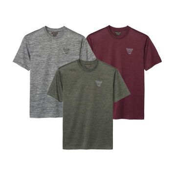 T-shirt męski casualowy Atlas For Men ze sklepu: Atlas For Men w kategorii: T-shirty męskie - zdjęcie 15A918-39C-13902_17060272