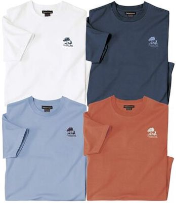 T-shirt męski na wiosnę Atlas For Men ze sklepu: Atlas For Men w kategorii: T-shirty męskie - zdjęcie 15A918-39C-13902_18142806