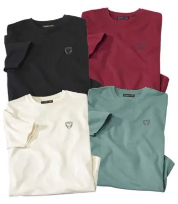 T-shirt męski na wiosnę Atlas For Men ze sklepu: Atlas For Men w kategorii: T-shirty męskie - zdjęcie 15A918-39C-13902_18250899