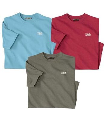 Atlas For Men - T-shirt męski casualowy na wiosnę ze sklepu: Atlas For Men w kategorii: T-shirty męskie - zdjęcie 15A918-39C-13902_18251025