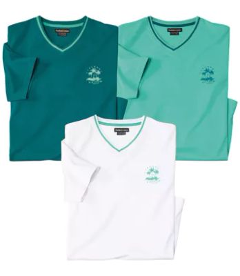 T-shirt męski na lato Atlas For Men ze sklepu: Atlas For Men w kategorii: T-shirty męskie - zdjęcie 15A918-39C-13902_18251378