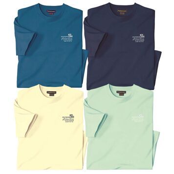 T-shirt męski casual Atlas For Men ze sklepu: Atlas For Men w kategorii: T-shirty męskie - zdjęcie 15A918-39C-13902_18256528