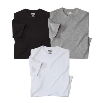 T-shirt męski wiosenny Atlas For Men ze sklepu: Atlas For Men w kategorii: T-shirty męskie - zdjęcie 15A918-39C-13902_18461116