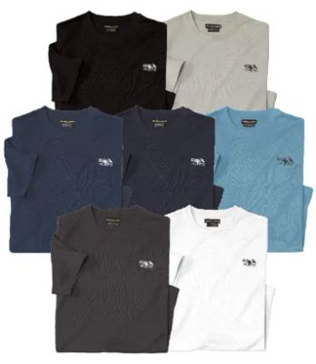 T-shirt męski na lato Atlas For Men ze sklepu: Atlas For Men w kategorii: T-shirty męskie - zdjęcie 15A918-39C-13902_18461120