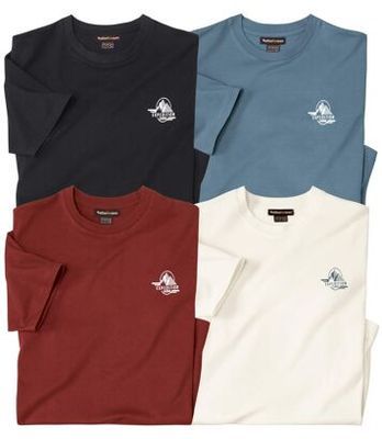 T-shirt męski wiosenny Atlas For Men ze sklepu: Atlas For Men w kategorii: T-shirty męskie - zdjęcie 15A918-39C-13902_18624494
