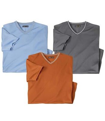 T-shirt męski na wiosnę Atlas For Men ze sklepu: Atlas For Men w kategorii: T-shirty męskie - zdjęcie 15A918-39C-13902_18624752