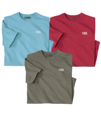 T-shirt męski casual wiosenny Atlas For Men ze sklepu: Atlas For Men w kategorii: T-shirty męskie - zdjęcie 15A918-39C-13902_18625363