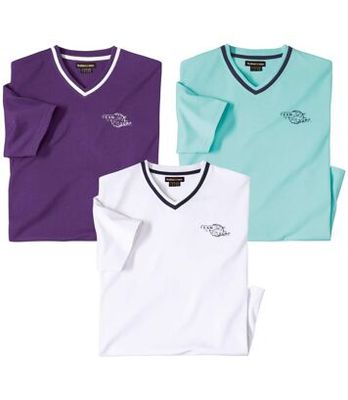T-shirt męski casual Atlas For Men ze sklepu: Atlas For Men w kategorii: T-shirty męskie - zdjęcie 15A918-39C-13902_18625884