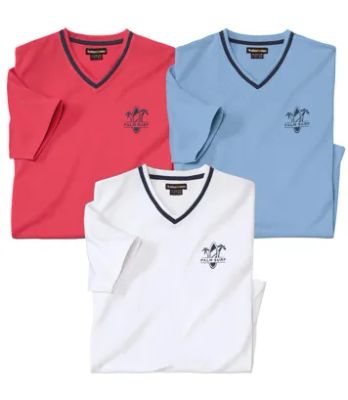 T-shirt męski na wiosnę Atlas For Men ze sklepu: Atlas For Men w kategorii: T-shirty męskie - zdjęcie 15A918-39C-13902_18664850