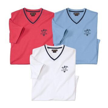 T-shirt męski na wiosnę Atlas For Men ze sklepu: Atlas For Men w kategorii: T-shirty męskie - zdjęcie 15A918-39C-13902_18664850