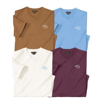 T-shirt męski casualowy Atlas For Men ze sklepu: Atlas For Men w kategorii: T-shirty męskie - zdjęcie 15A918-39C-13902_18787683