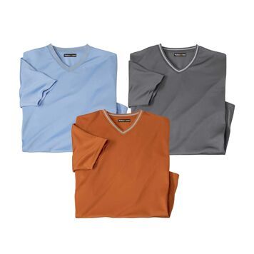 T-shirt męski na wiosnę casualowy Atlas For Men ze sklepu: Atlas For Men w kategorii: T-shirty męskie - zdjęcie 15A918-39C-13902_18885844