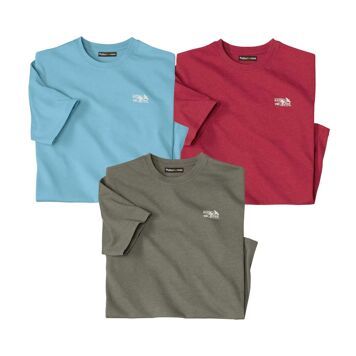 T-shirt męski casual Atlas For Men ze sklepu: Atlas For Men w kategorii: T-shirty męskie - zdjęcie 15A918-39C-13902_18885869