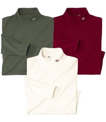 Sweter męski Atlas For Men ze sklepu: Atlas For Men w kategorii: Swetry męskie - zdjęcie 15A918-39C-13902_18886000