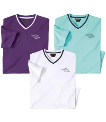 T-shirt męski casualowy na wiosnę Atlas For Men ze sklepu: Atlas For Men w kategorii: T-shirty męskie - zdjęcie 15A918-39C-13902_18886087