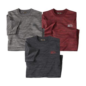 T-shirt męski casual Atlas For Men ze sklepu: Atlas For Men w kategorii: T-shirty męskie - zdjęcie 15A918-39C-13902_18886106
