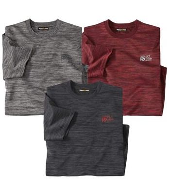 T-shirt męski casual Atlas For Men ze sklepu: Atlas For Men w kategorii: T-shirty męskie - zdjęcie 15A918-39C-13902_18886106