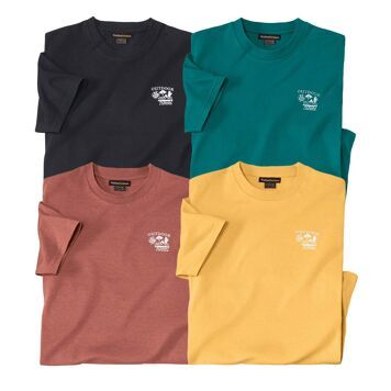 T-shirt męski Atlas For Men ze sklepu: Atlas For Men w kategorii: T-shirty męskie - zdjęcie 15A918-39C-13902_18886120